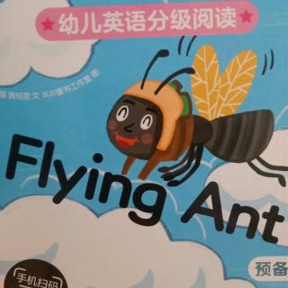 Flying ant