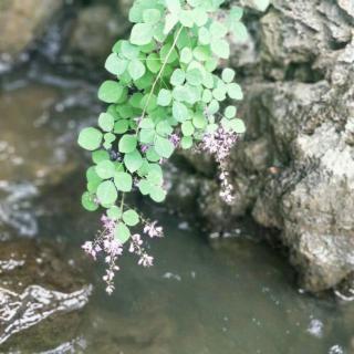 少年时代的乡村情怀