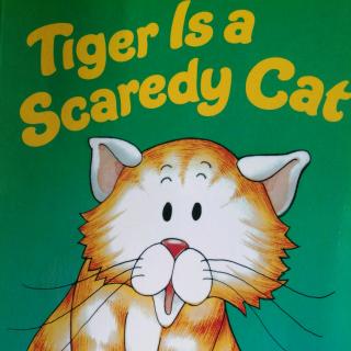 Tiger  ls a Scaredy Cat