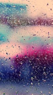 生活像一场大雨，每个人都在以各种各样的方式躲雨