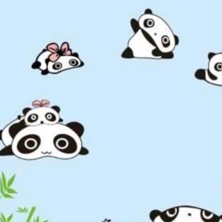 郑伟老师《爸爸不是大熊猫》