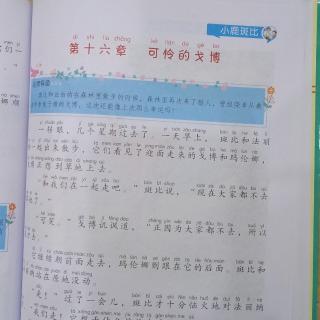 小鹿斑比《可怜的戈博》