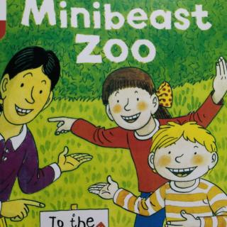 The Minibeast zoo