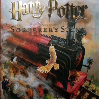 Harry Potter and the Sorcerer's Stone 2(1)