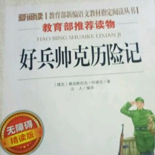 好兵帅克历险记