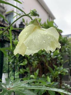 下雨天