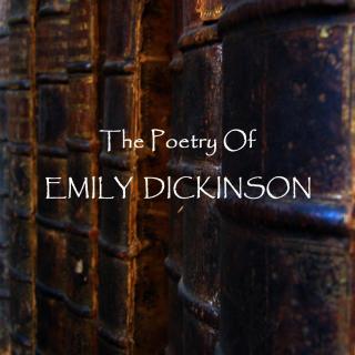 Emily Dickinson - He Fumbles At Your Soul