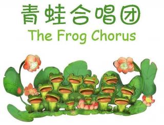 爱心杨妈妈之晚安故事《青蛙合唱团》