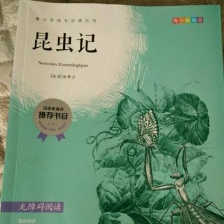 《昆虫记》