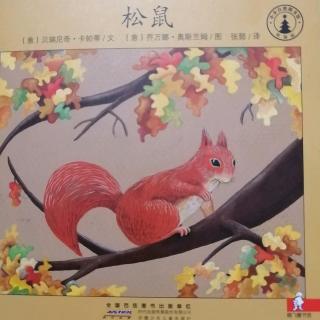 20190904小小自然图书馆14松鼠🐿—多多妈妈