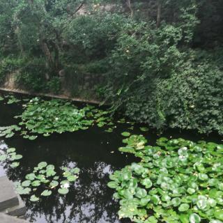 英语学员于子涵1230评论(暂无评论)暂时没有评论哦,下载荔枝抢沙发吧!