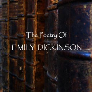 Emily Dickinson - A Narrow Fellow In The Grass