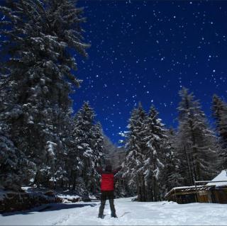 雪山的长夜（节选）