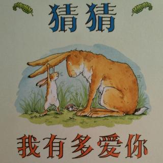 猜猜我有多爱你