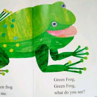 Green Frog, Green Frog, what do you see?