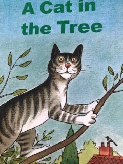 A Cat in the Tree