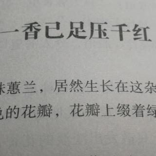 《一香已足压千红》