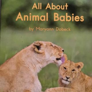 all about animal babies