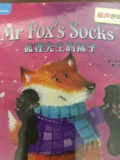 Me Fox’s Socks