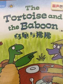 The Tortoise and the Baboon