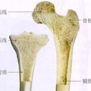 瑜伽改变人体的大环境