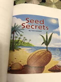 seed secrets