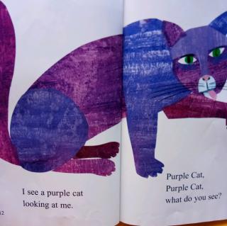I see a purple cat looking at me.