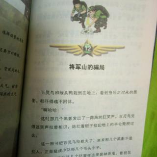 12.将军山的骗局