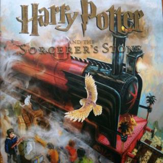 Harry Potter and  the Sorcerer's Stone 2(2)