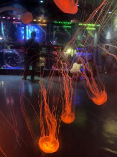 三国演义第五回上。