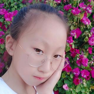 《绿野仙踪》张嘉禾