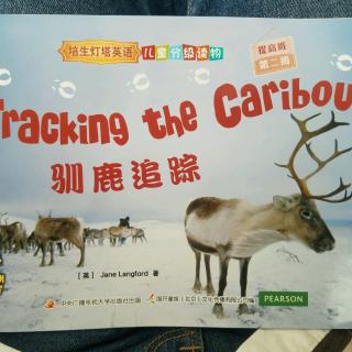 Tracking the Caribou 7