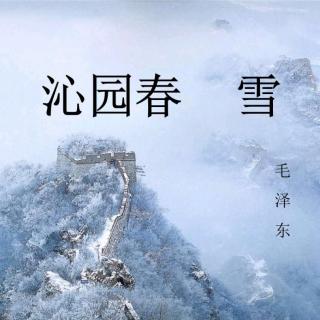 《沁园春•雪》