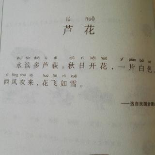 小古文3《芦花》