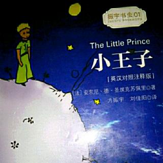《小王子》第十七章 英文版