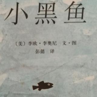 小黑鱼