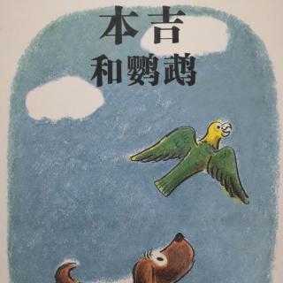 本吉和鹦鹉