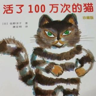 活了100万次的猫