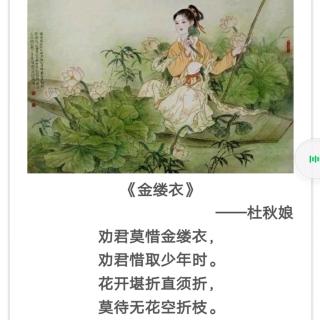 ［又又读诗·秋·劝学］17.金缕衣（唐·无名氏）