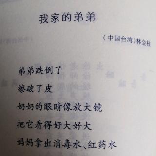 诗歌《我家的弟弟》（作者：林金枝（台湾））