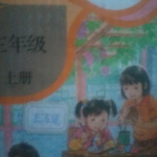 大青树下的小学