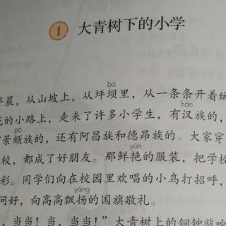 《大青树下的小学》