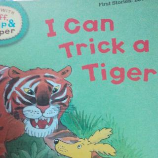 i can trick a tiger