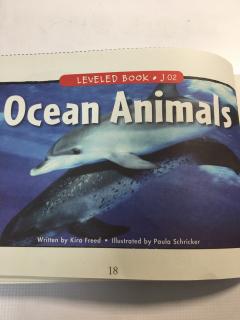 【Simon与英文阅读】第186天Ocean animals