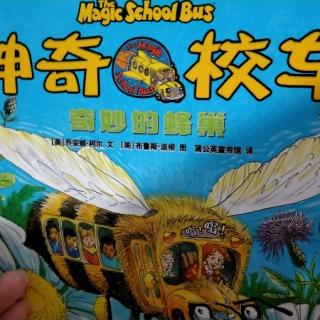 神奇校车之奇妙的蜂巢
