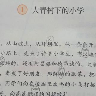 1大青树下的小学