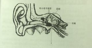 五大类听觉功能失调以及听觉与前庭觉的关系