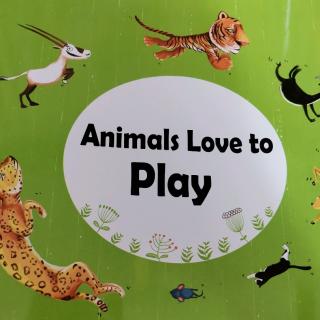 animal's Love to play