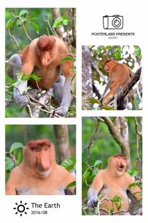 93 -94课英语单词录音