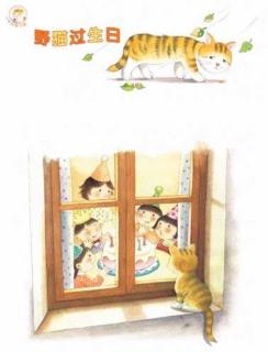 金鼎实验幼儿园睡前故事503—《野猫过生日》
